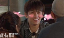 圈内小料爆料王鹤棣视频,背后故事引热议