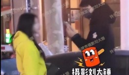 刘大锤最新爆料家暴视频,最新家暴视频曝光，真相令人震惊！