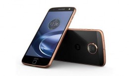 花与蛇5在线观看手机,手机观影，探寻禁忌之花的秘密