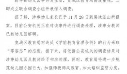 幼儿园吃饭爆料视频播放,温馨画面引网友热议